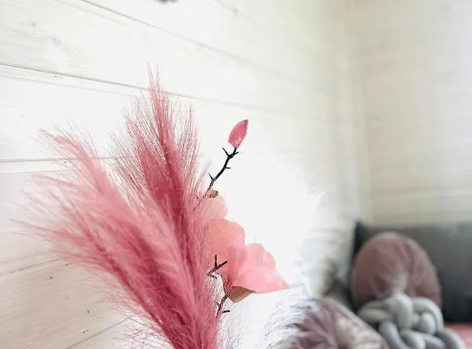 Camp Domek letniskowy